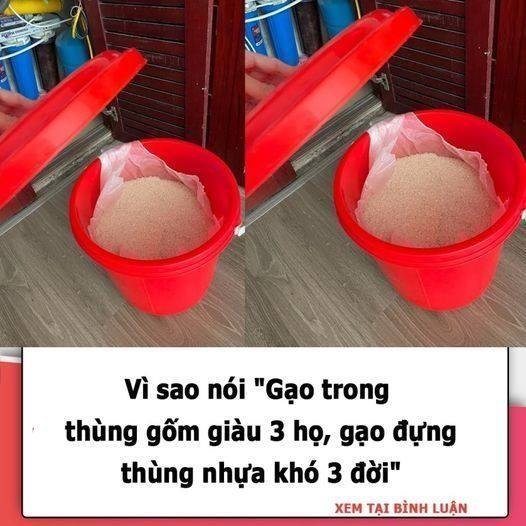 Vì sao nói ‘Gạo trong thùng gốm già u 3 họ, gạo đựng thùng nhựa kh ó 3 đời’: Bảo sao mãi không phấɫ lên nổi