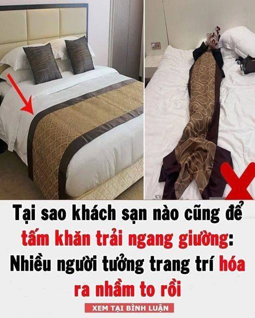 Tại sao khách sạn nào cũng để tấm khăn trải ngang giường: Nhiều người tưởng trang trí hóa ra nhầm