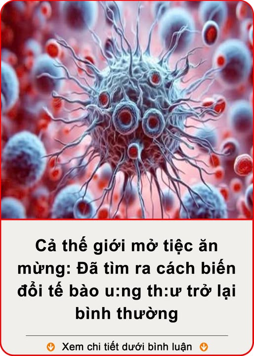 Đột phá: Đã tìm ra cách biến đổi tế bào u: ng th: ư trở lại bình thường