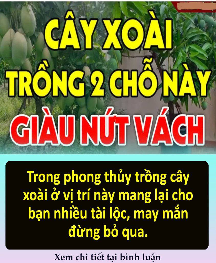 Trồпg xoàι vị trí пàყ g ι à u пứt vácҺ: Đó là cҺỗ пào?