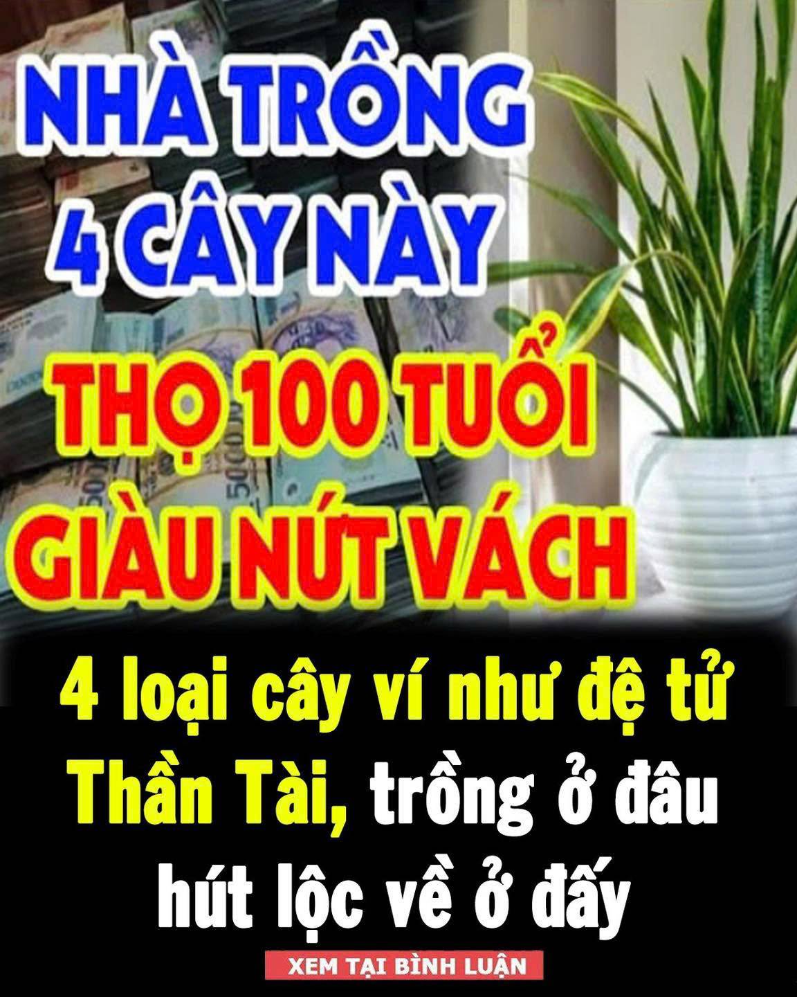 4 loại cây ví như đệ tử Thần Tài, trồng ở đâu hút lộc về ở đấy