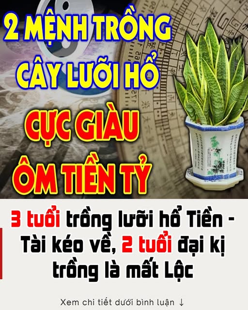 3 tuổi trồng lưỡi hổ Tiền – Tài kéo về, 2 tuổi đại kị trồng là m ấ t L ộ c