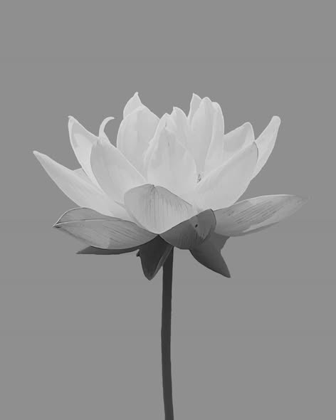 Cựu tuyển thủ bóng đá vừa q u a đ ờ i