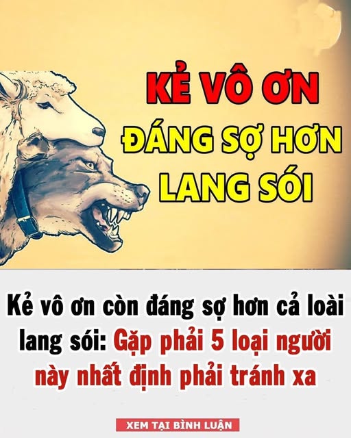 Kẻ vô ơn còn đáng sợ hơn cả loài lang s ó i: Gặp phải 5 loại người này xungh quanh, hãy cố gắng tránh xa