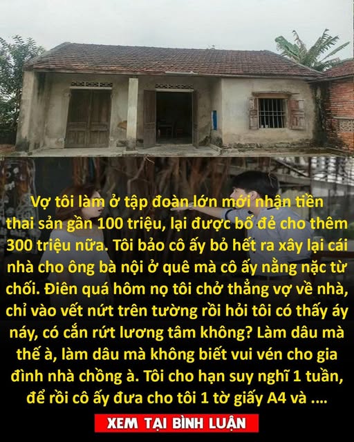 Vợ tôi làm ở tập đoàn lớn mới nhận tiền thai sản gần 100 triệu, lại được bố đẻ cho thêm 300 triệu nữa. Tôi bảo cô ấy bỏ hết ra xây lại cái nhà cho ông bà nội ở quê mà cô ấy nằng nặc từ chối. Điên quá hôm nọ tôi chở thẳng vợ về nhà, chỉ vào vết nứt trên tường rồi hỏi tôi có thấy áy náy, có cắn rứt lương tâm không? Làm dâu mà thế à, làm dâu mà không biết vui vén cho gia đình nhà chồng à. Tôi cho hạn suy nghĩ 1 tuần, để rồi cô ấy đưa cho tôi 1 tờ giấy A4 và