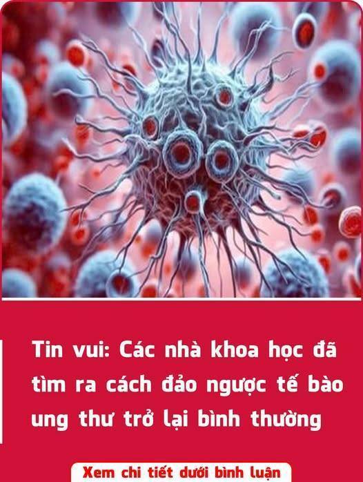 Đột phá: Đã tìm ra cách biến đổi tế bào u:ng th:ư trở lại bình thường