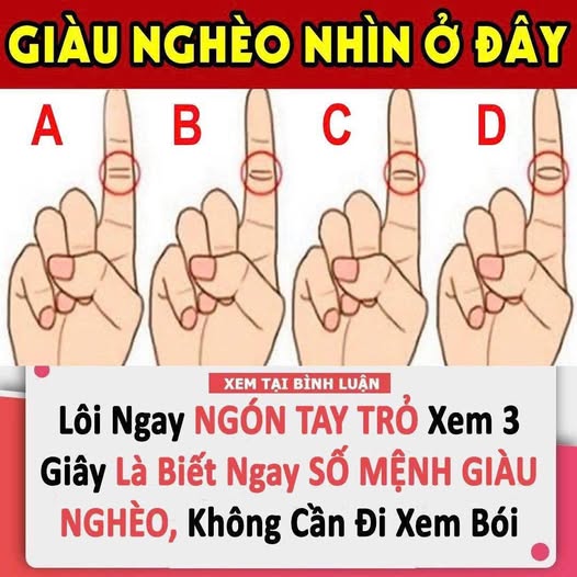 Chỉ 1 giây nhìn ngón trỏ: Biết tương lai thành công, giàu có hay n g h è o khó muôn đời