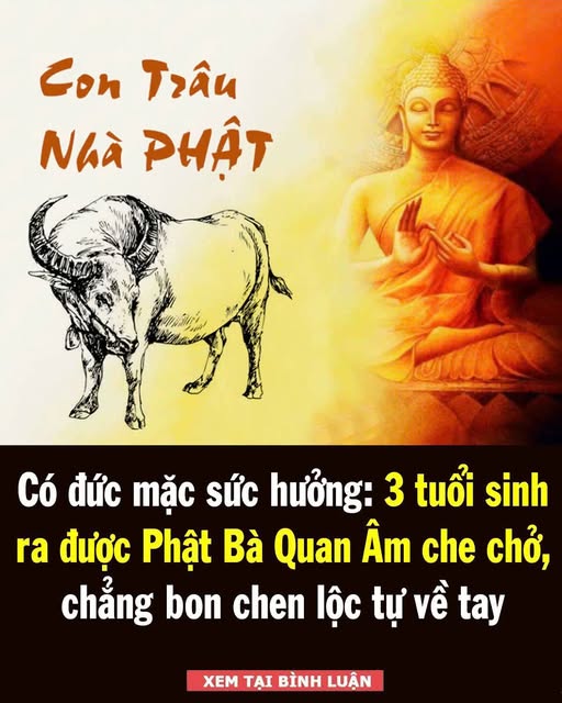 Có đức mặc sức hưởng: 3 tuổi s i n h ra được Phật Bà Quan Âm che chở, chẳng bon chen l ộ c tự về tay